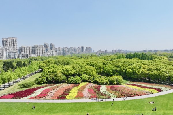 走红外网的“旱溪花镜”就在这里，还有宠物和面包节！世纪公园花野生活节来了